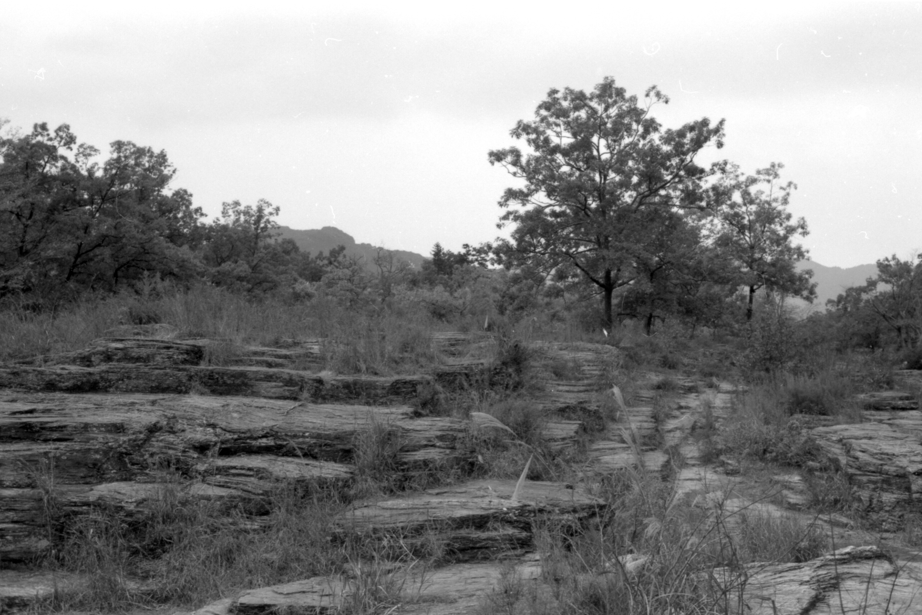 2015-11-09-0027-1800