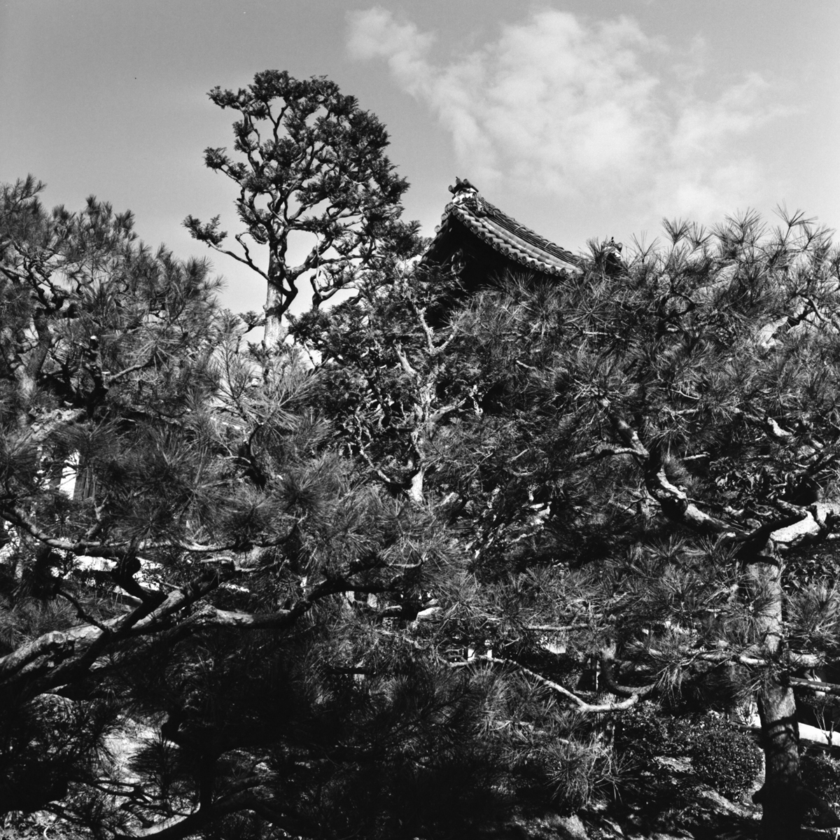 IMG_20131230_0005-1200