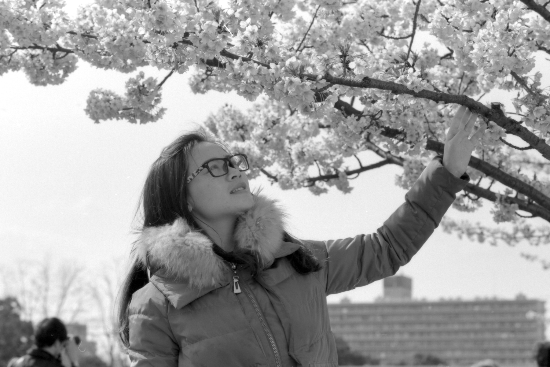 2016-02-28-0030-1800