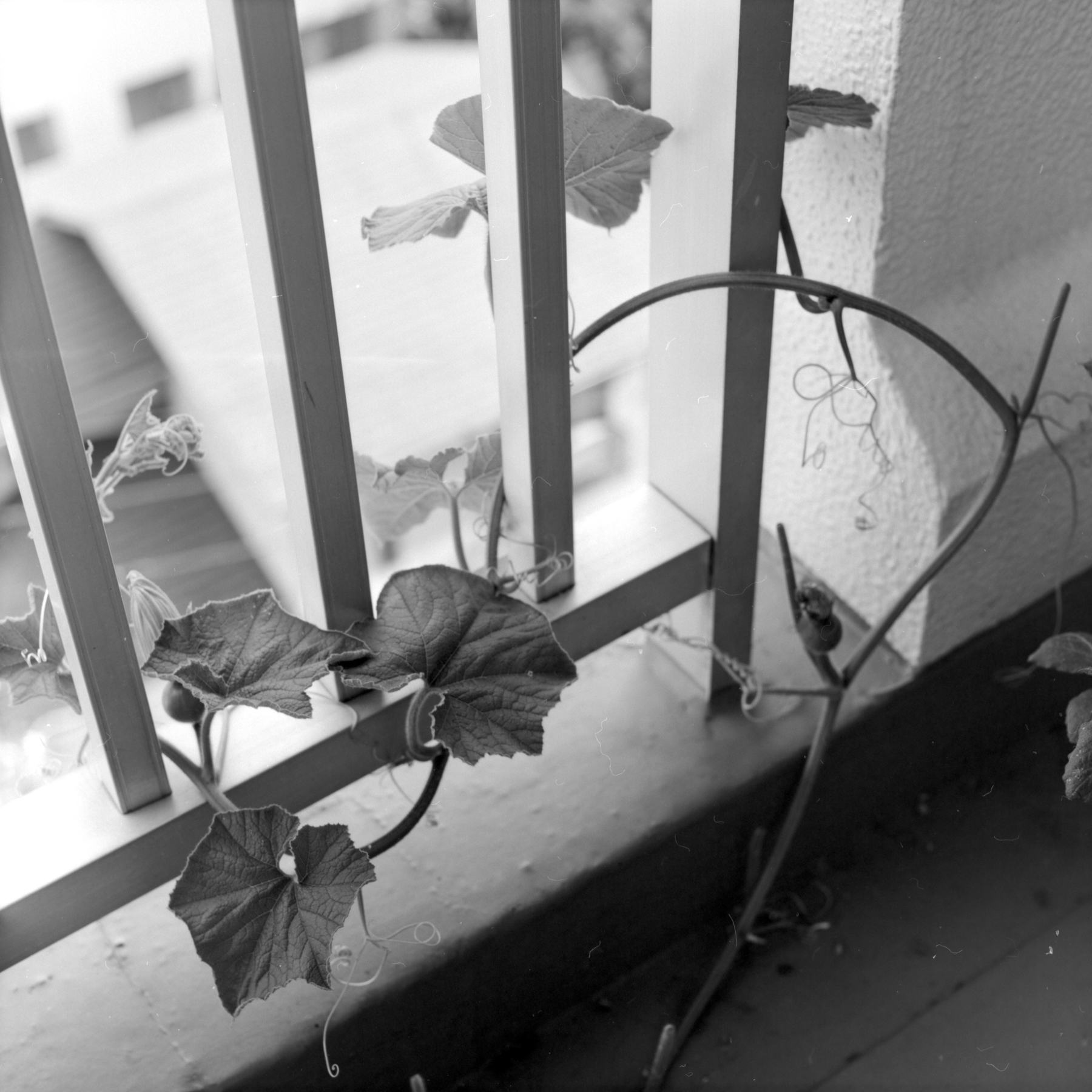 2016-04-25-0007-1800