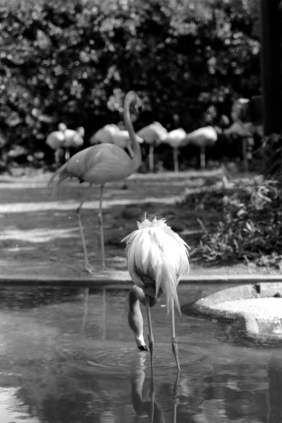 2016-05-15-0022-1800