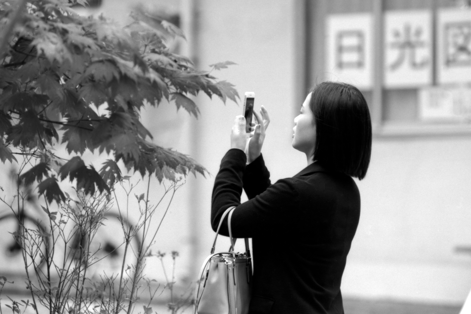 2016-10-29-0029-1800-2